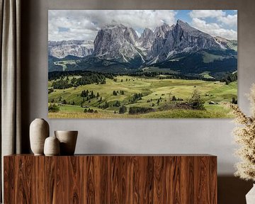 De Alpe di Siusi met Sassolungo, Sassopiatto en Sella van Martina Weidner