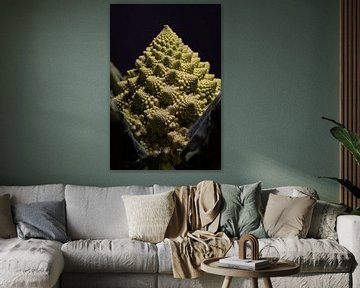 A Romanesco (fractoli) by Marjolijn van den Berg