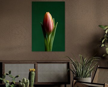 Die Tulpe (mit grünem Hintergrund) von Marjolijn van den Berg