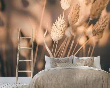Reed Grass in Warm Colors by Patrycja Polechonska