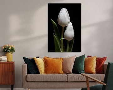 Gemeinsam: ein Porträt von zwei weißen Tulpen von Marjolijn van den Berg