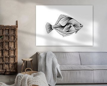Poster Plattfisch - Strichzeichnung - schwarz-weiß - Fisch - Illustration von Studio Tosca