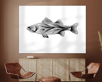 Poster Zeebaars - lijntekening - zwart wit - vis - illustratie van Studio Tosca