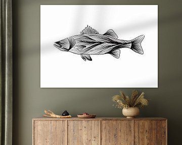Poster Wolfsbarsch - Strichzeichnung - schwarz und weiß - Fisch - Illustration von Studio Tosca