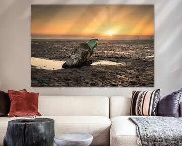 Bouée sur la plage de Harlingen