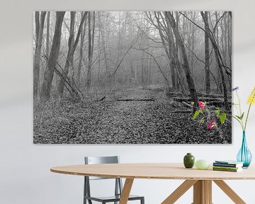 Een bospad door de poldernatuur in zwart-wit van Gerard de Zwaan