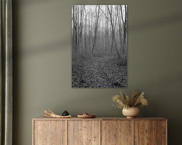 Un chemin forestier à travers une forêt de feuillus de polder en noir et blanc sur Gerard de Zwaan