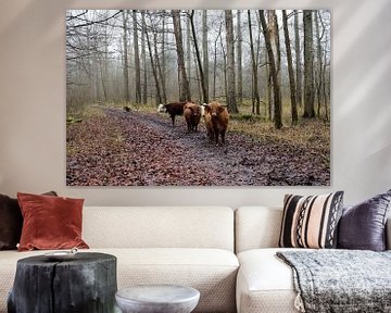 Cattle in the polder countryside