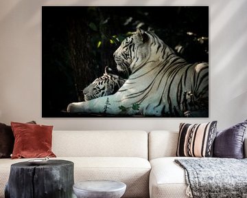 Witte tijgers van Design Wall Arts