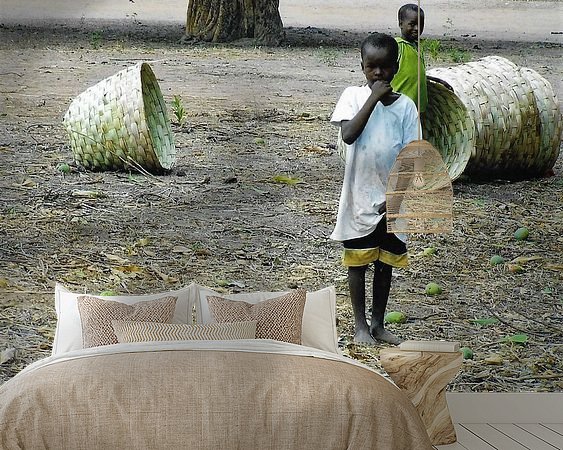 Aperçu de la chambre