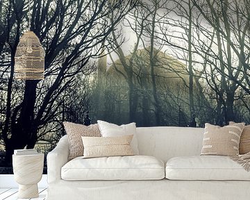 Oud huis in Harlingen in de mist