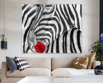 Zebra Monochrome met Roos van Truckpowerr