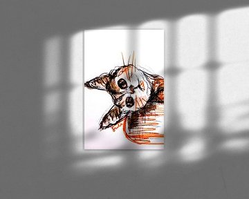 Katzenskizze VI von Liesbeth Serlie