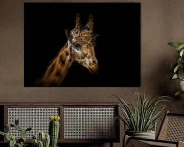 Close-up van een giraffe, creatief bewerkt van Wolfgang Unger