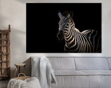 Close-up van een zebra creatief bewerkt van Wolfgang Unger
