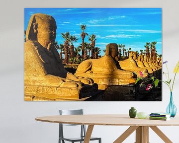 Sphinx Allee mit Palmen in Luxor Ägypten von Dieter Walther