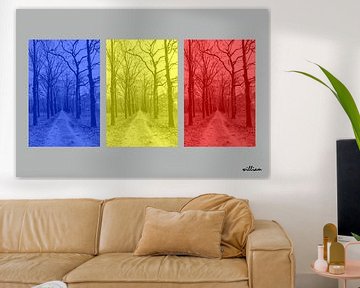 Bospad in drie kleuren van whmpictures .com