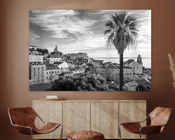 Black and white of Alfama in Lisbon, Portugal with palm tree. by Christa Stroo photography