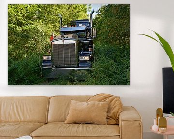 Kenworth W900B by Ingo Laue