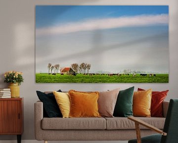 Friesland grassland by Harrie Muis