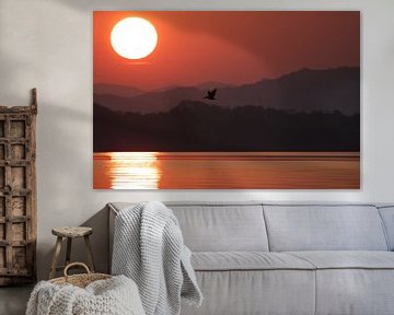 Sunrise | Rising Sun | Pelican | Mountains | Mexico by Kimberley Helmendag