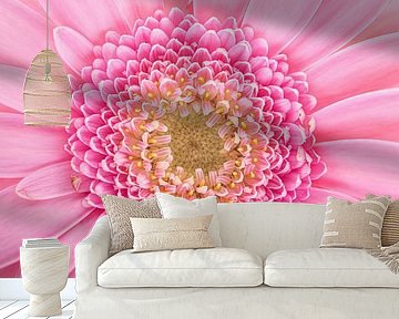 The heart of a pink Gerbera by Marjolijn van den Berg