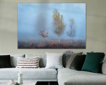 Birkenbäume im Herbst | Landschaftsfoto | Veluwe von Marijn Alons
