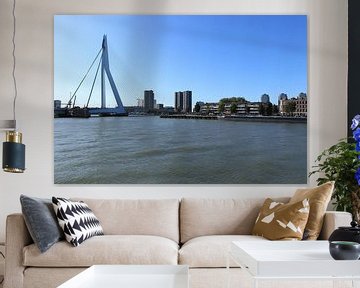 Rotterdam, de Erasmusbrug van Wendy Hilberath