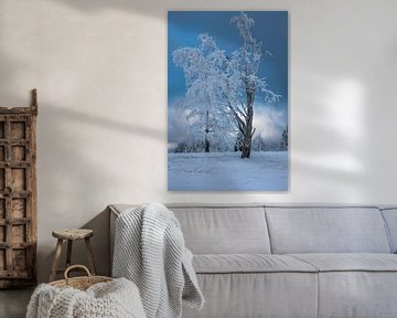Eisiger Baum von Sylvia Remenyi-Kuiper