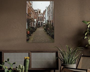 Botanische Straße in Haarlem | Fine Art Photo Print | Niederlande, Europa von Sanne Dost