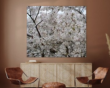 Witte prachtige kleine Japanse lente bloesem van Jolanda de Jong-Jansen