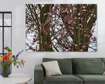 Japanische Kirschbäume im Frühling von Jolanda de Jong-Jansen