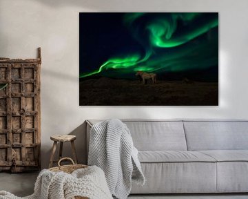 Aurora Borealis in Island, Nordlichter von Gert Hilbink