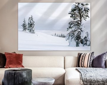 Sneeuwlandschap met besneeuwde bomen in Fins Lapland || Poolcirkel, Finland van Suzanne Spijkers