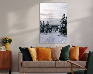 Sneeuwlandschap met besneeuwde bomen in Fins Lapland || Poolcirkel, Finland van Suzanne Spijkers