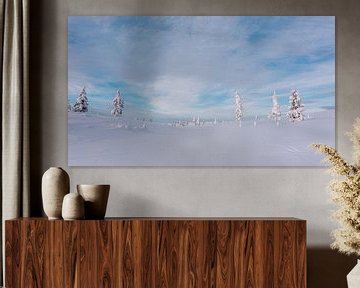 Schneelandschaft Finnisch-Lappland | Polarkreis, Finnland von Suzanne Spijkers