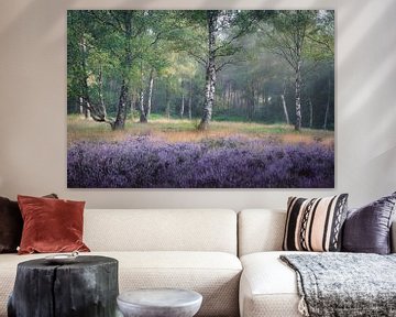 Berken op de bloeiende Hilversumse Heide | Landschapsfotografie | Bos in de zomer