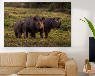 Family black rhino by Bart Hendriks