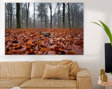 Autumn Forest by Evelien Huisman