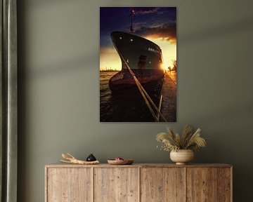 Het schip de Arklow met de zon er achter in Rotterdamse haven in Nederland van Bart Ros