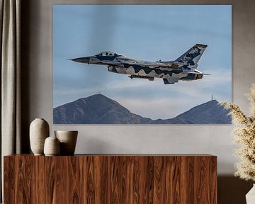 US Air Force General Dynamics F-16C Fighting Falcon. van Jaap van den Berg