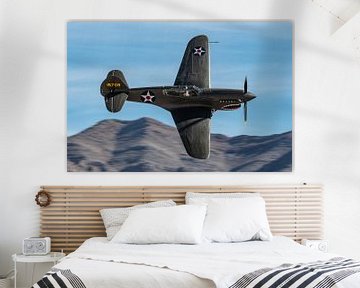 Flyby Curtiss P-40E Warhawk. van Jaap van den Berg