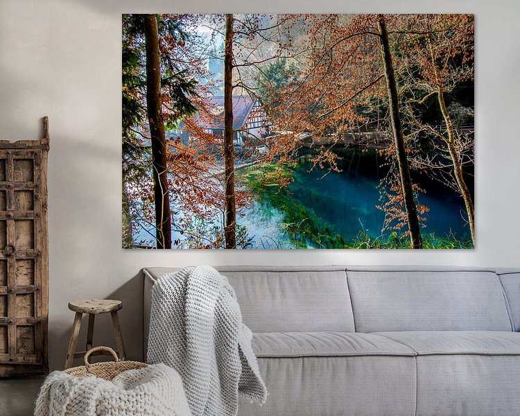 Aperçu de la chambre