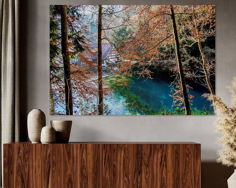 Aperçu de la chambre