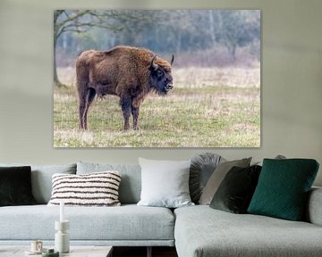 Bison in its natural environment. by Jean Weijnen