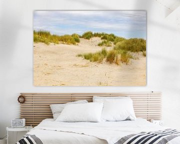Paysage de dunes Pays-Bas