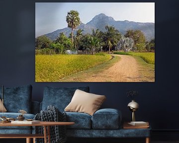 Der heilige Berg Arunachala in Tamil Nadu in Indien Asien von Eye on You