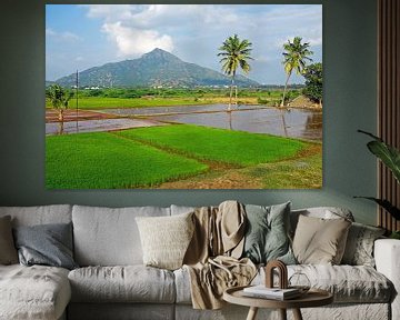 De oudste berg op aarde Arunachala in Tiruvannamalai India van Eye on You