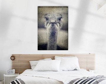 Ostrich black/white by Eric van den Berg