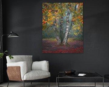 Herbstblätter an einer Birke | Naturfotografie | Herbst von Marijn Alons